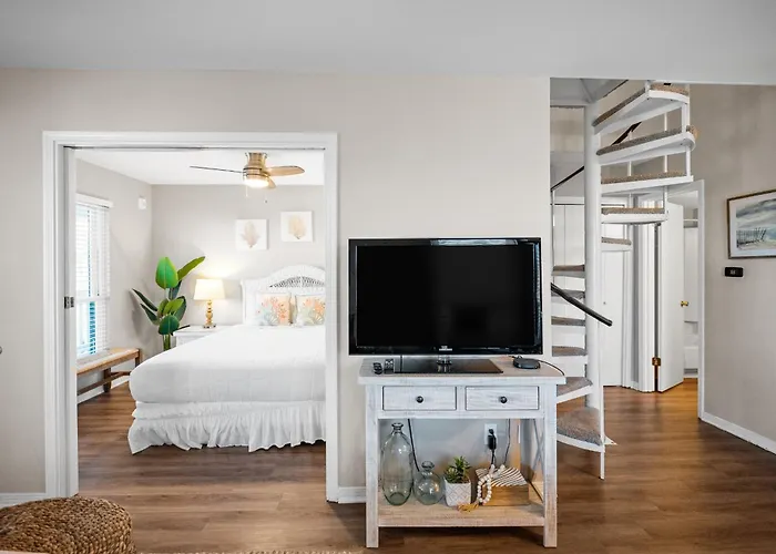 The Cove 205b By Collection